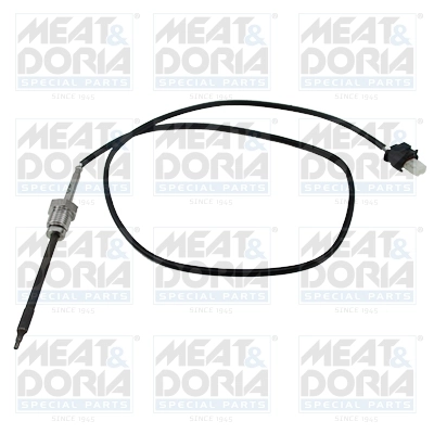 Sensor, exhaust gas temperature
